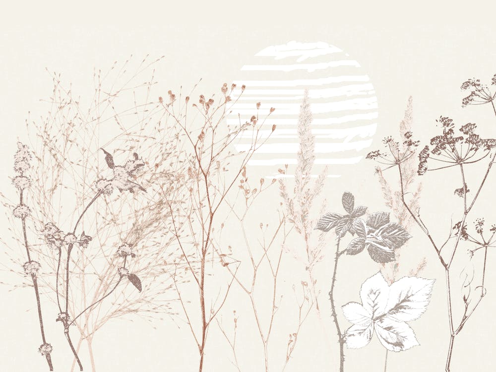Plant based calming atmosphere earthy tones