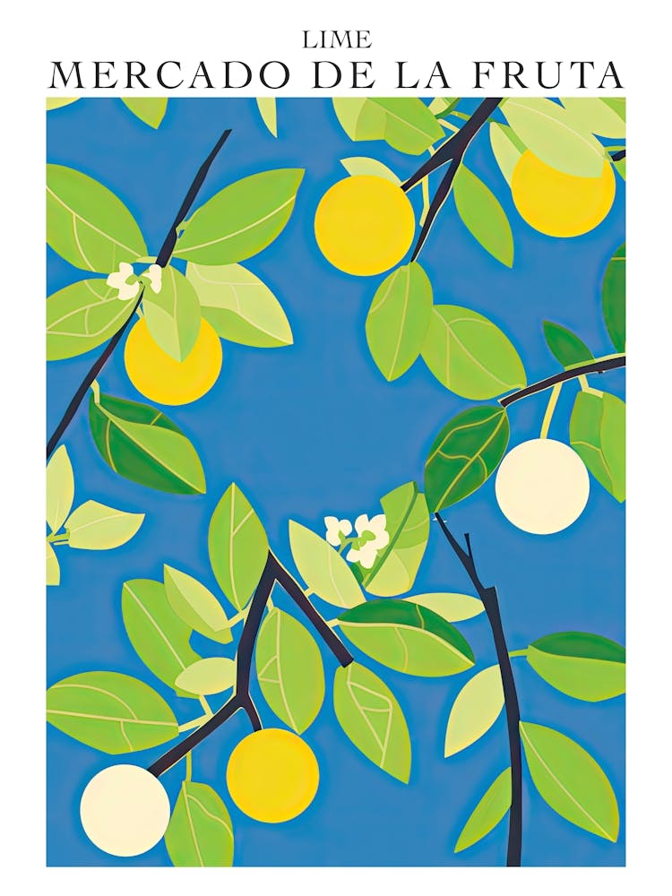 Mercado De La Fruta Lime Illustration 1 Poster