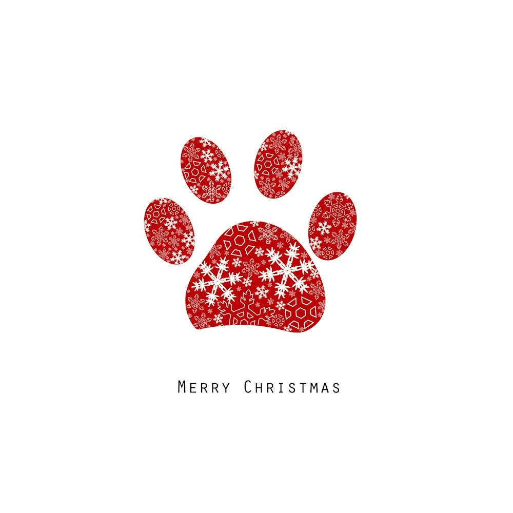 Paw Print With Snowflakes