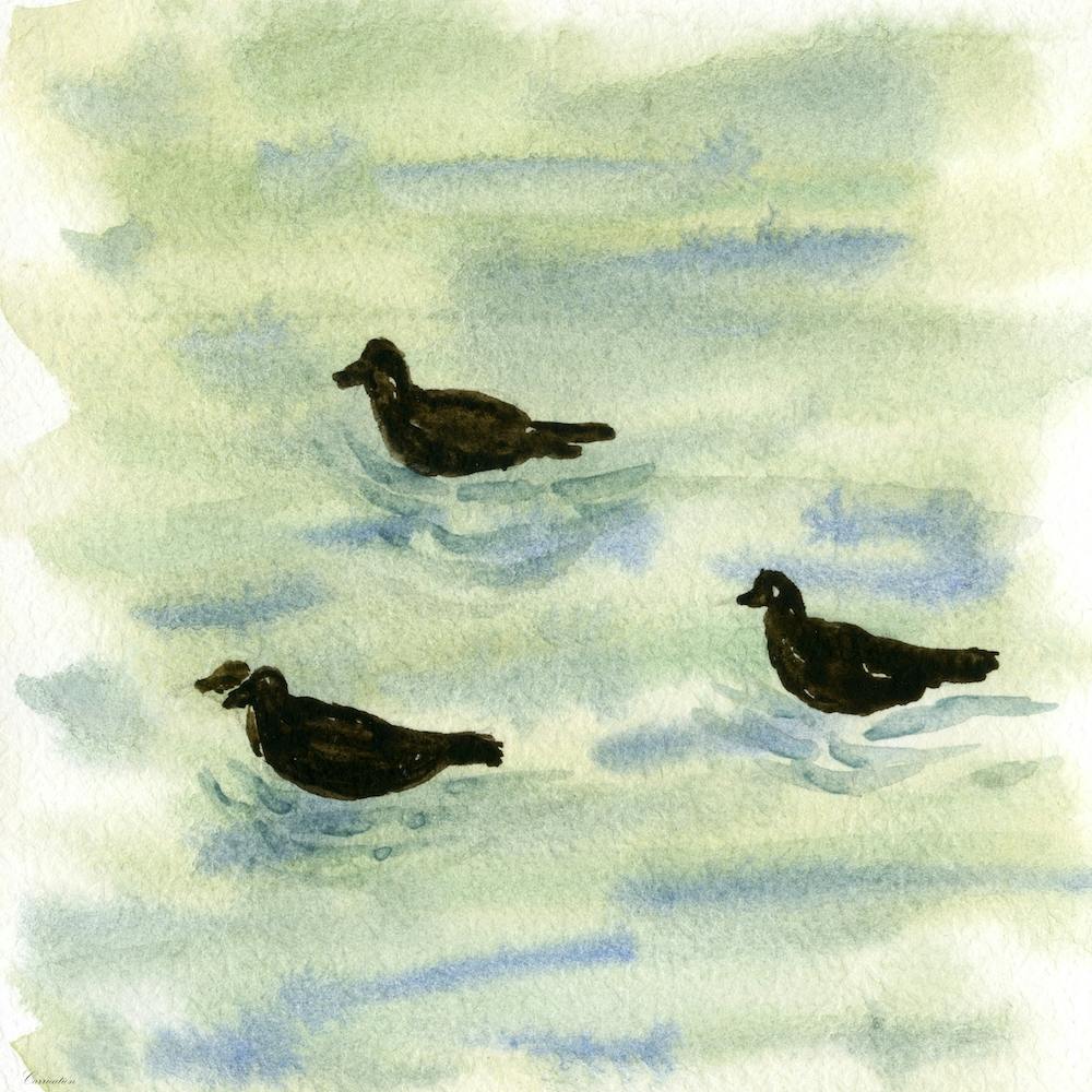 Ducks in Lake Watercolor Painting