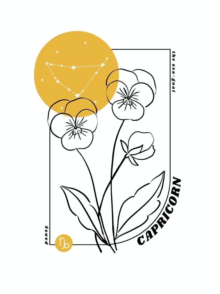 Capricorn Birth Flower & Zodiac Sign