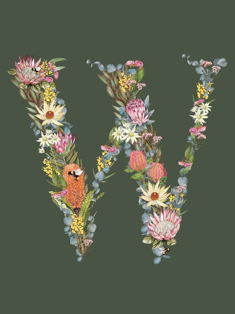 W Oliven-Alphabetbuchstabe