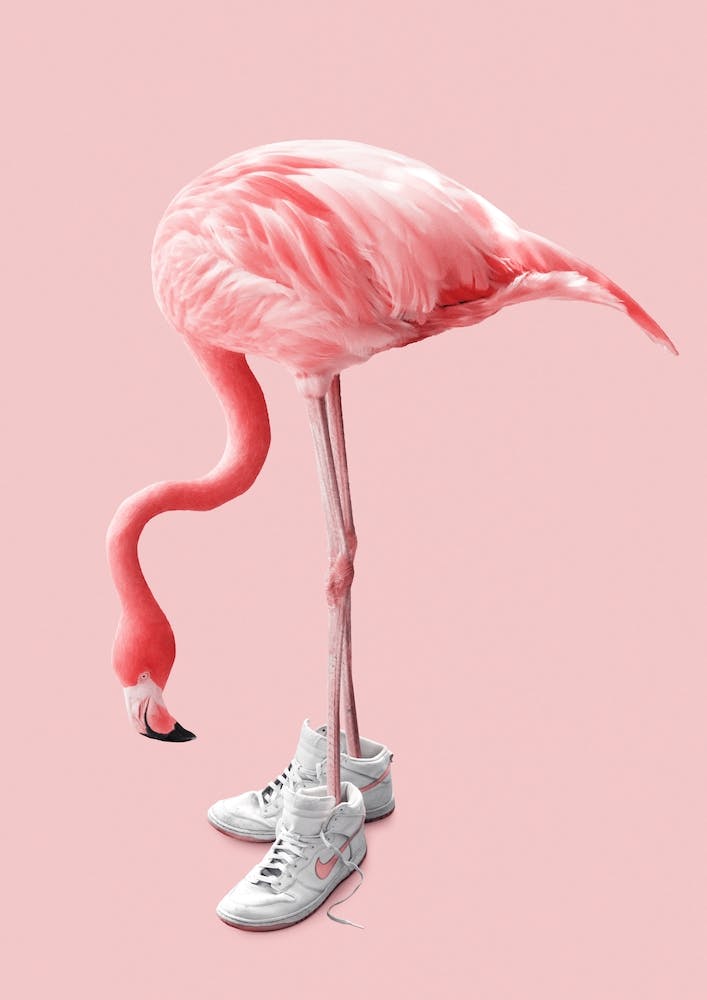 Sneaker Flamingo Nursery