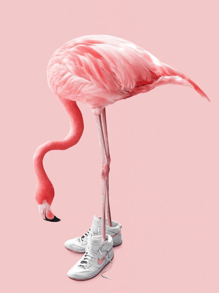 Sneaker Flamingo Nursery