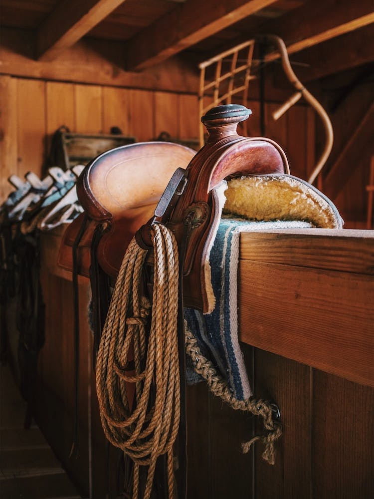 Leather Saddle