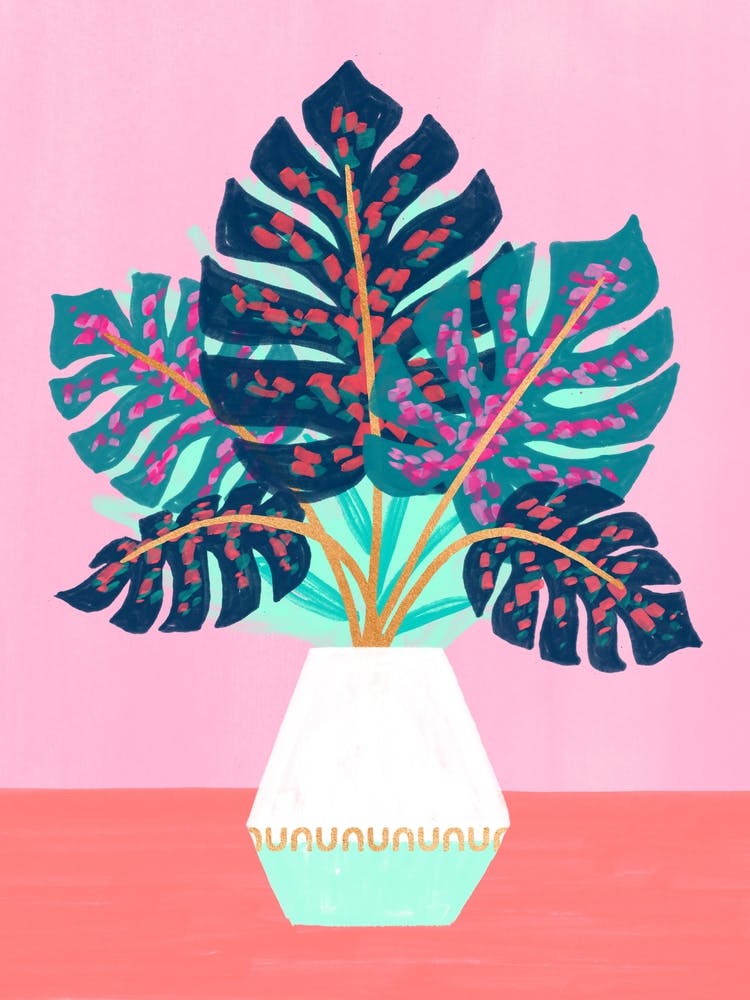 Painted Monstera Plant