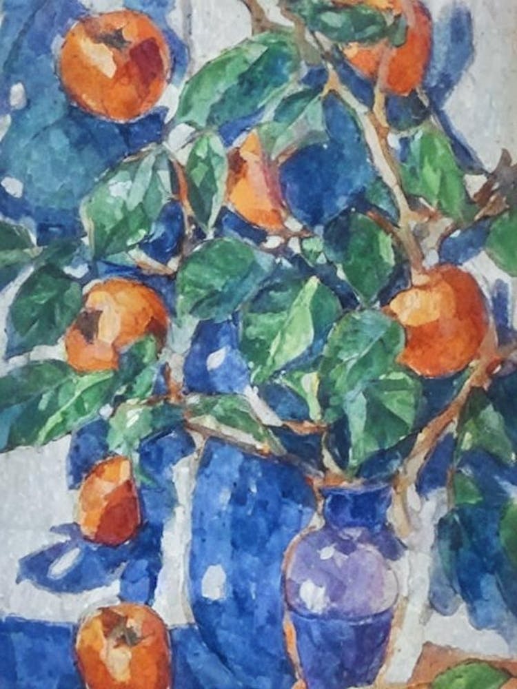 Persimmon Classic Fruit