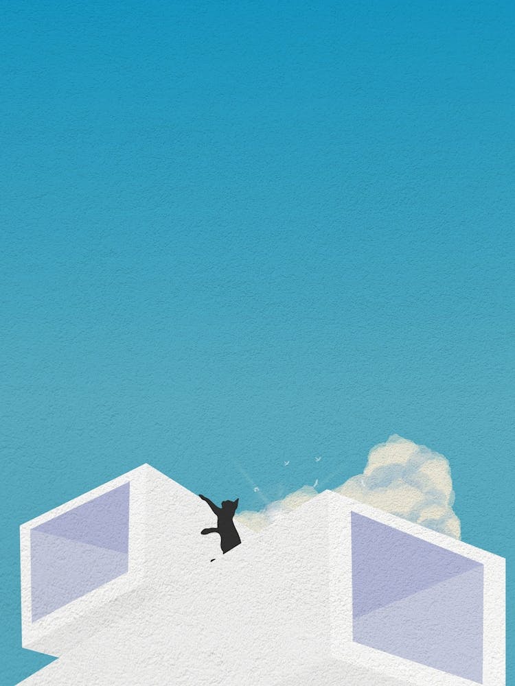 Minimal art of a cat on a sunny building roof