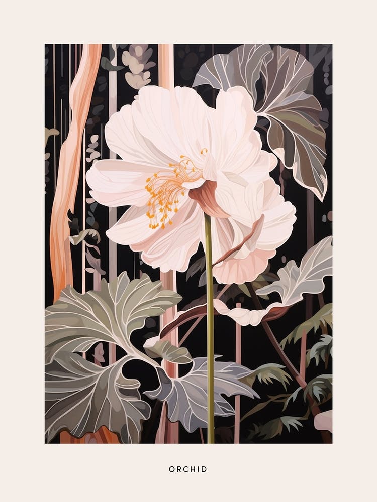 Flower Illustration Orchid 3 Poster