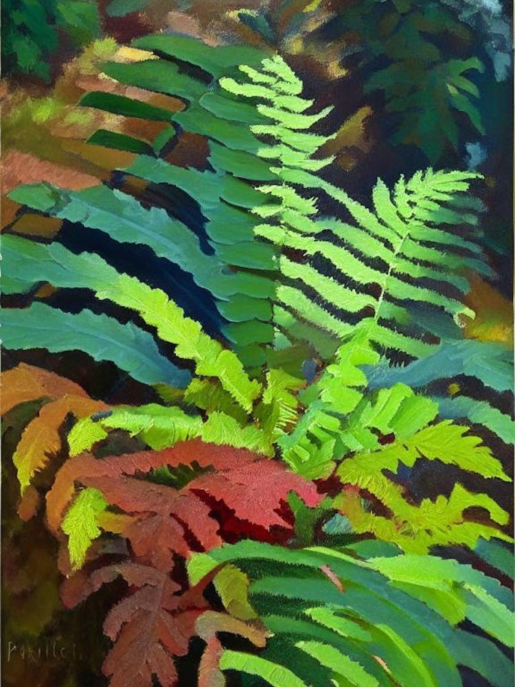 Leatherleaf Fern Cézanne Style