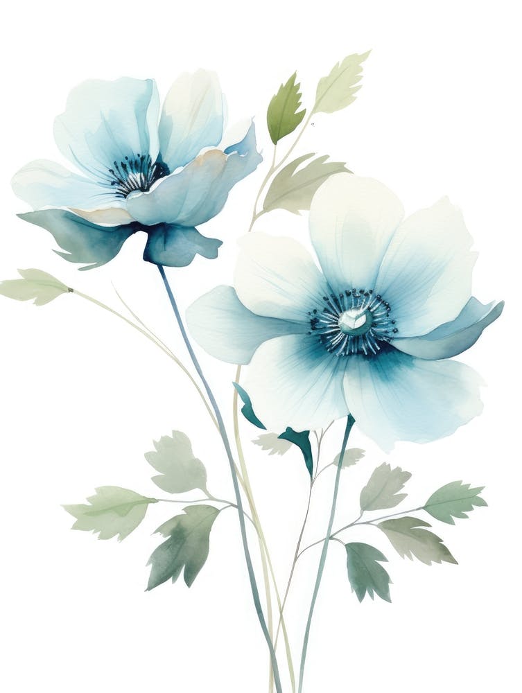 Blue Anemones 2