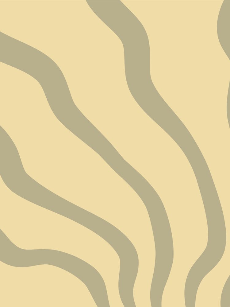 Zebra Stripes 15