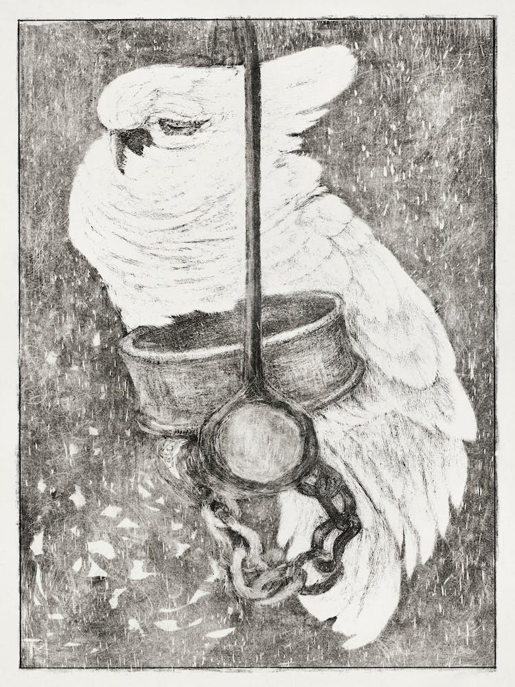 White Cockatoo (1878 1917), Theo Van Hoytema