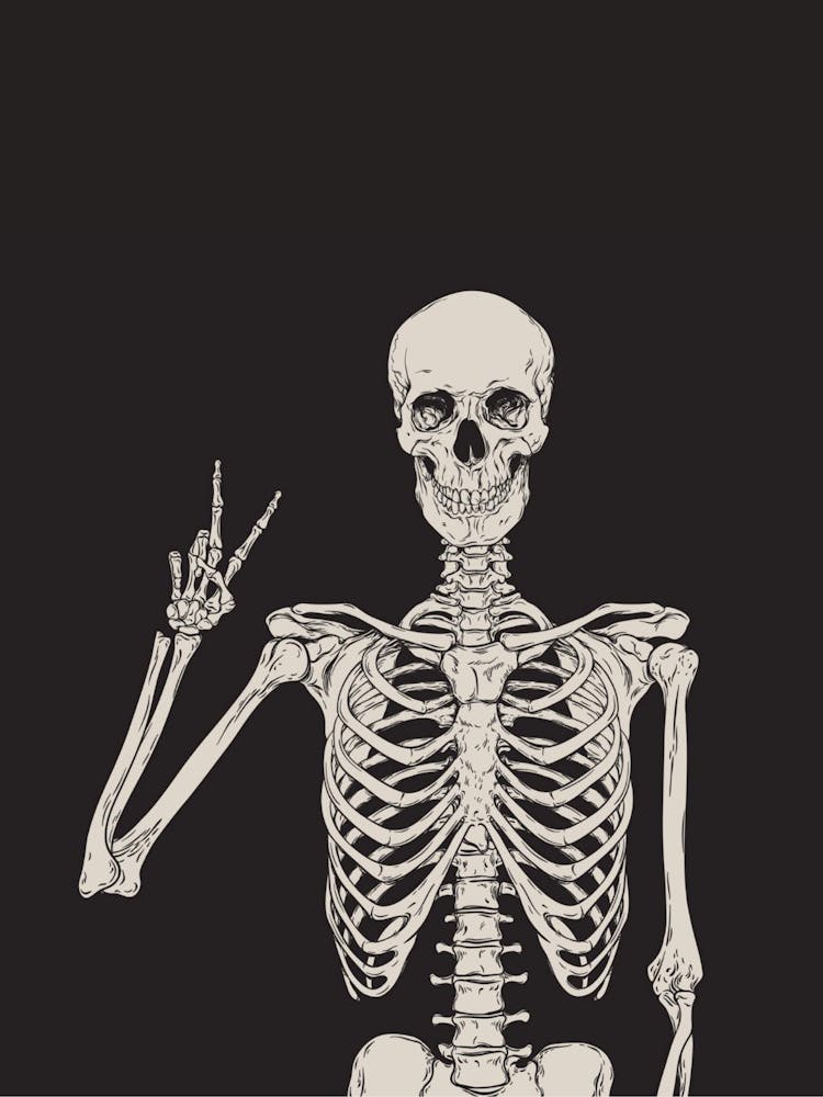 Skeleton