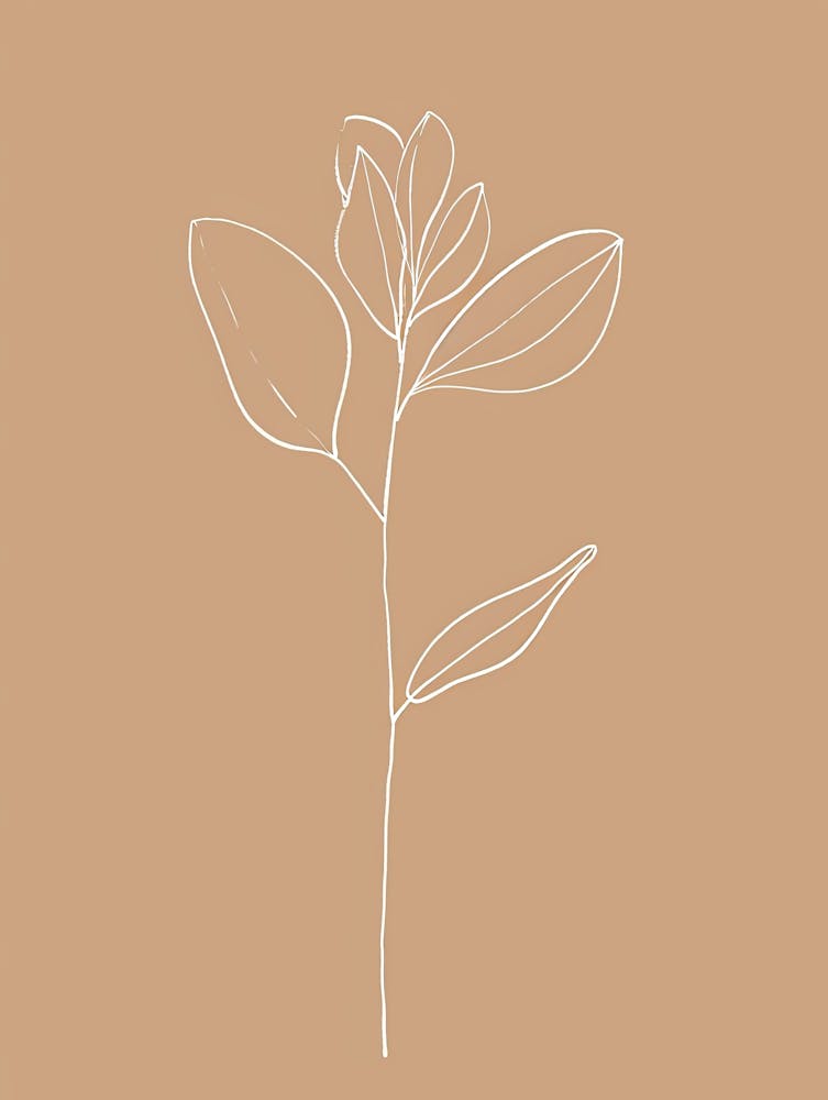 Liverpool Botanical Garden Boho Line Art