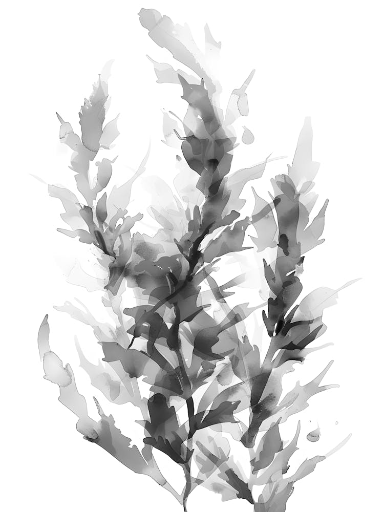 Black And White Seaweed 1