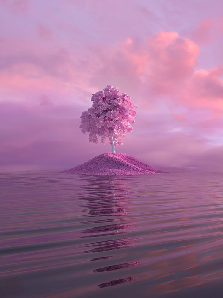 Pink Tree On An Island