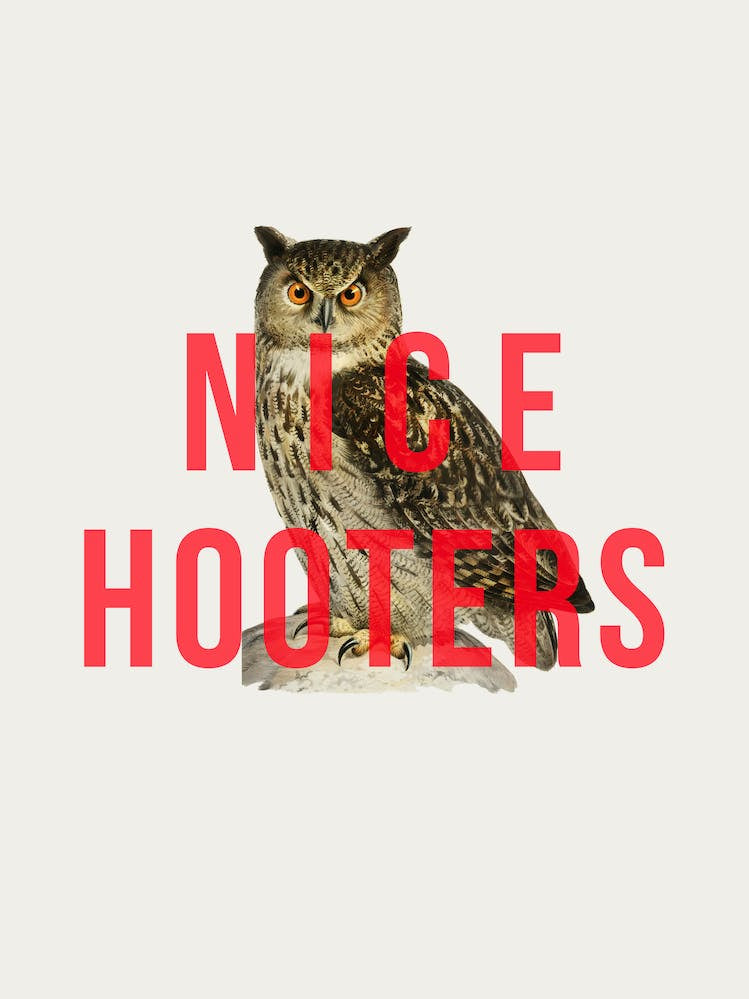Nice Hooters