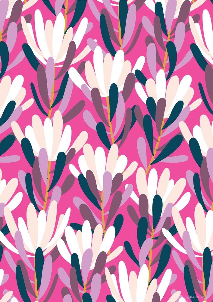 Leucadendron