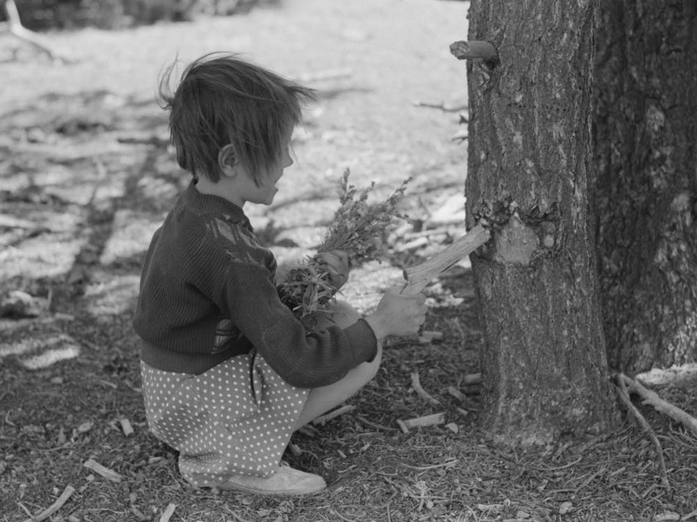 Untitled Photo, Possibly Related To Josie Caudill Getting Resin From Pinon Tree For Chewing Gum