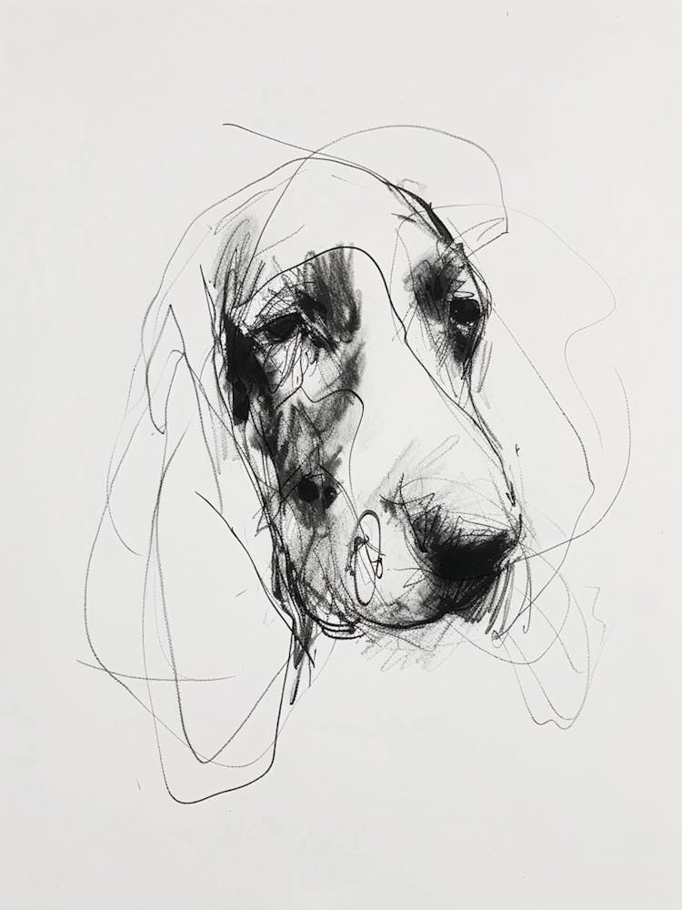 Basset Hound Dog Charcoal Line 2
