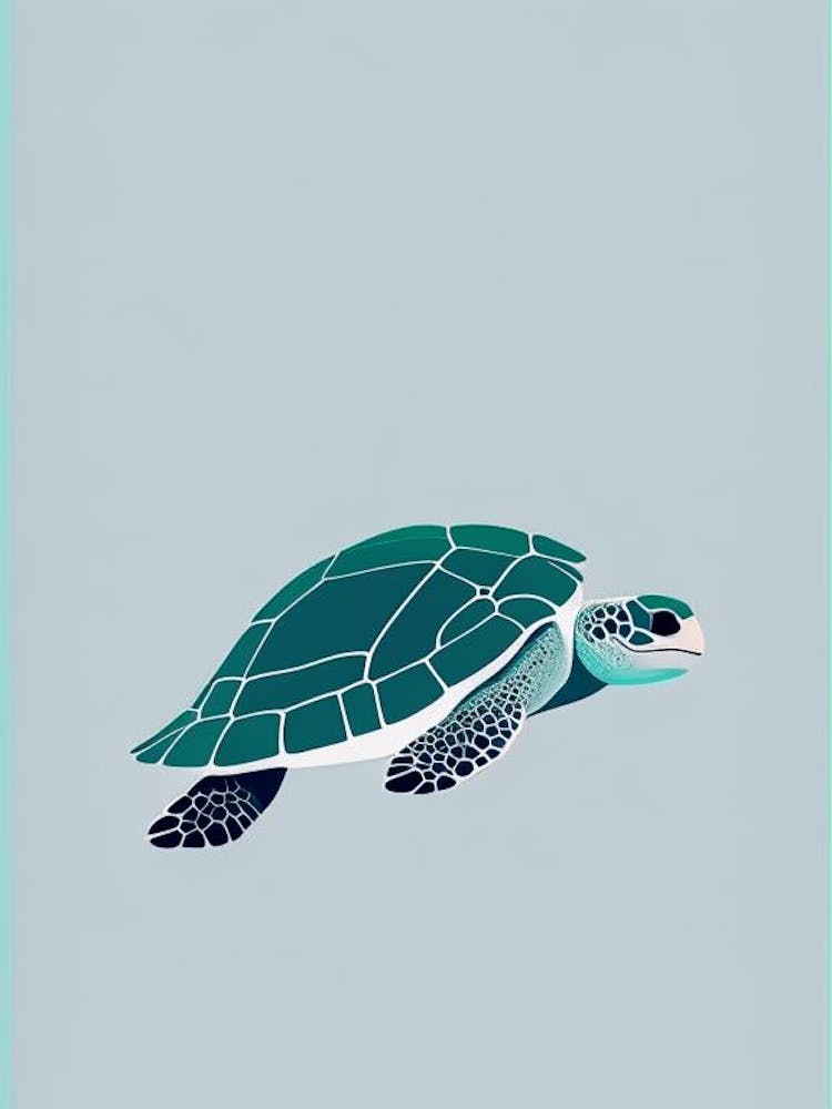 Flatback Sea Turtle (Natator Depressus), Sea Turtle Simplicty 1