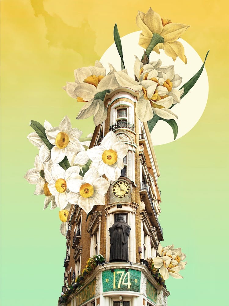 Wallflower 7