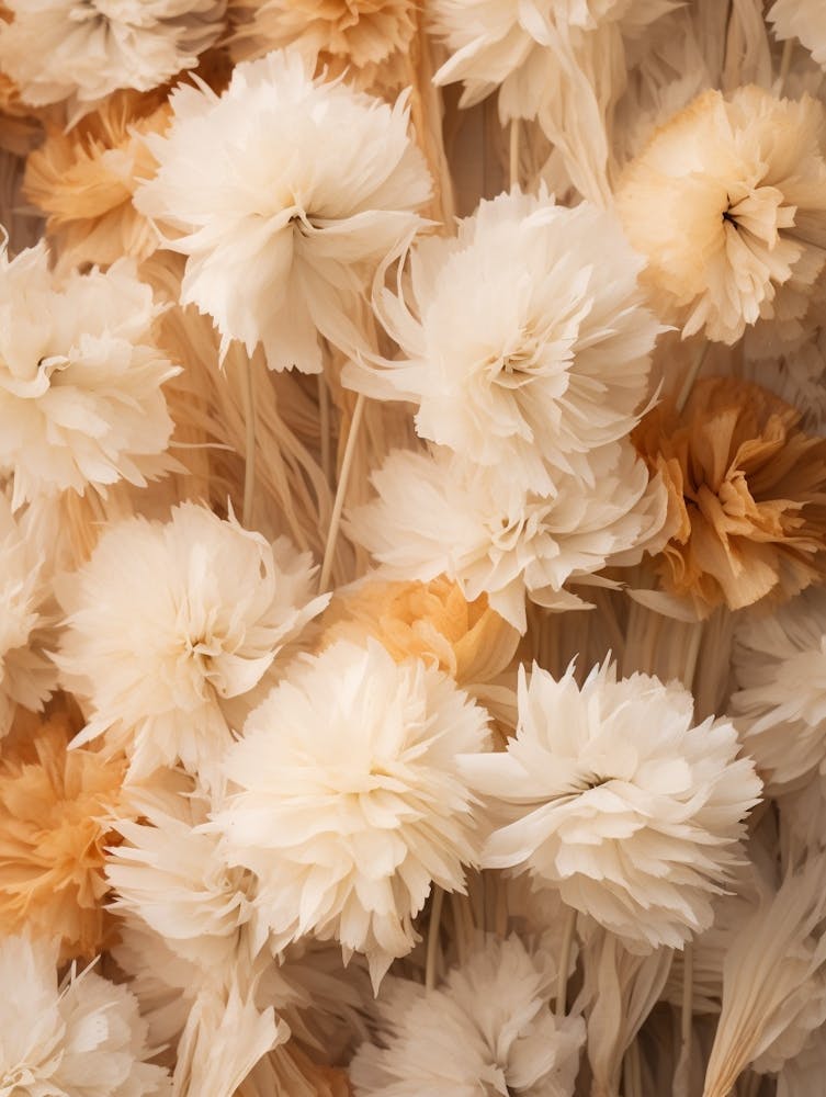 Boho Dried Flowers Marigold 4