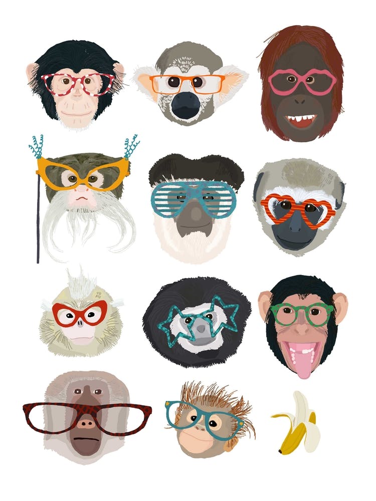 Monkeys In Glasses