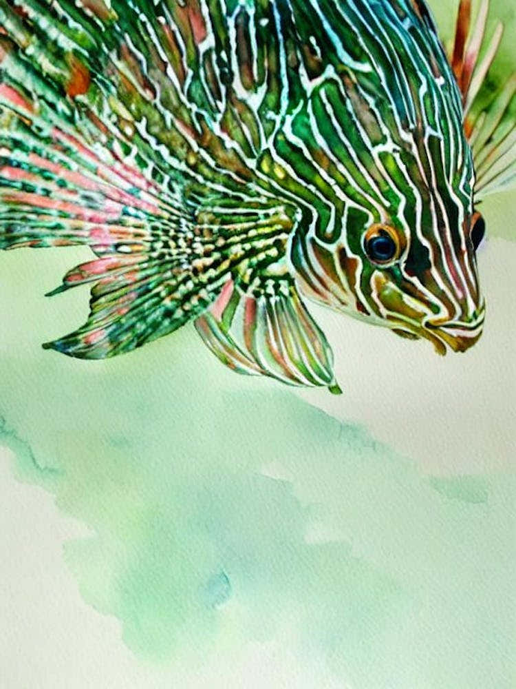 Lionfish Storybook Watercolour