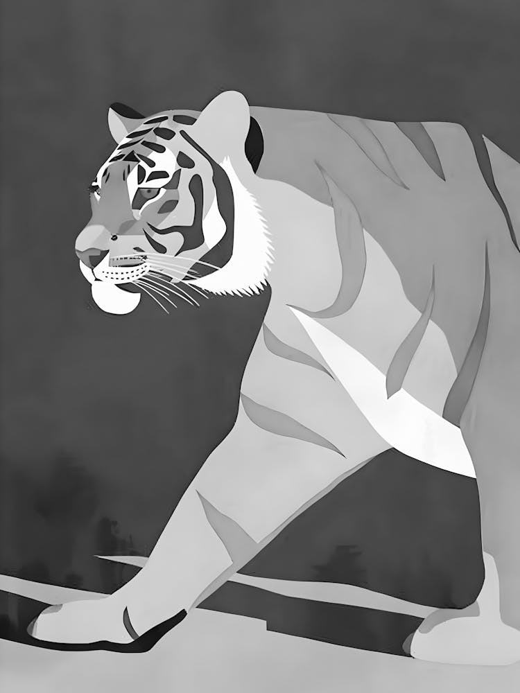 Tiger 11