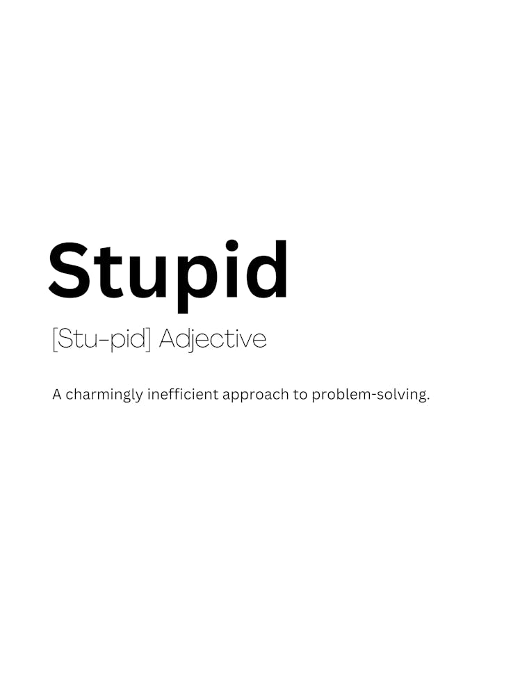 Stupid Definition Meaning