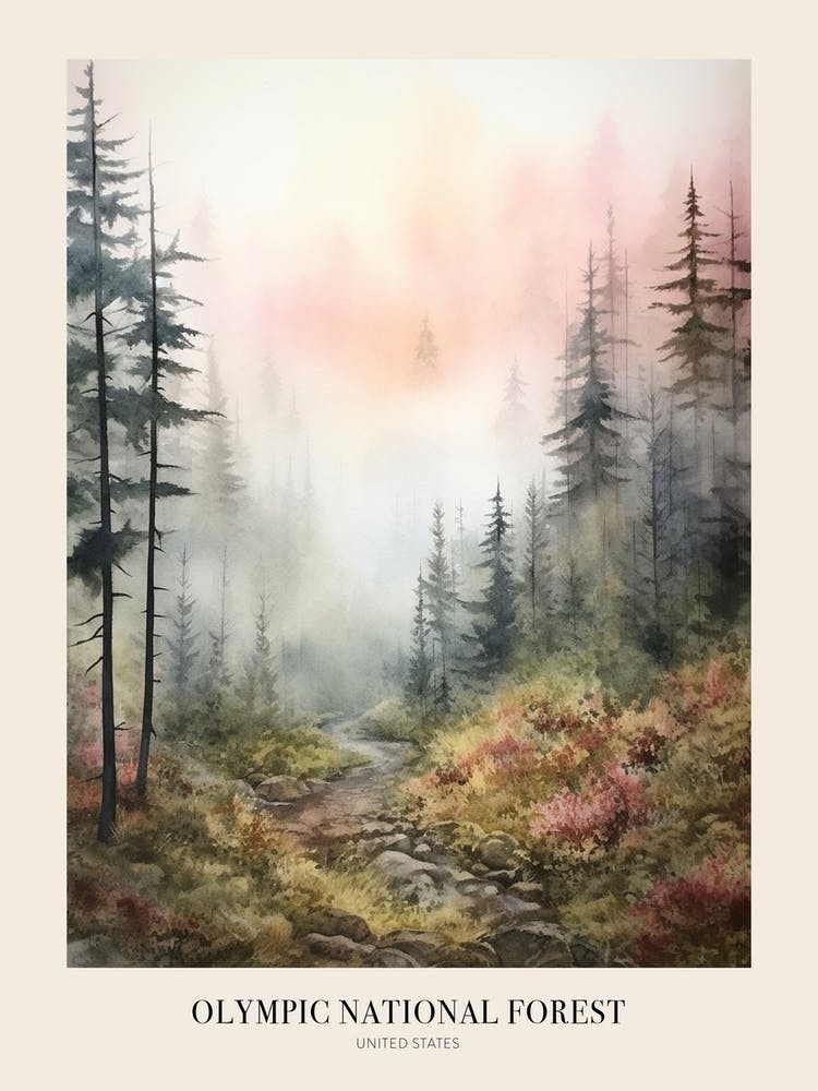Herbstwaldlandschaft Olympic National Forest 1 Poster