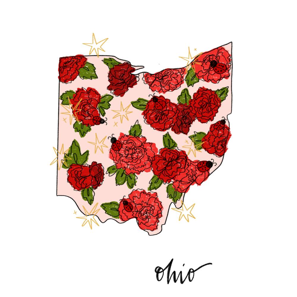 Ohio - États Illustrés