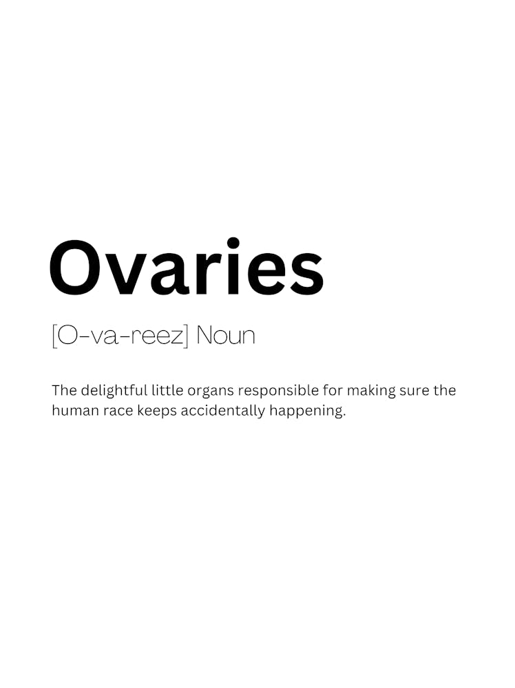 Ovaries Definition Meaning 1