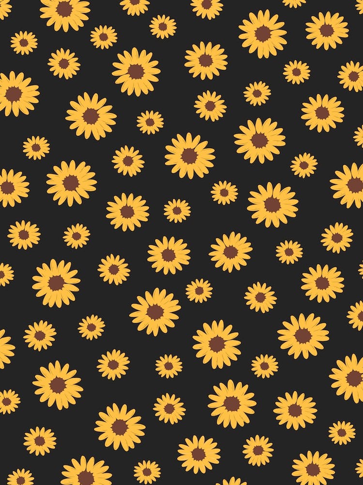 Sunflowers Black Background