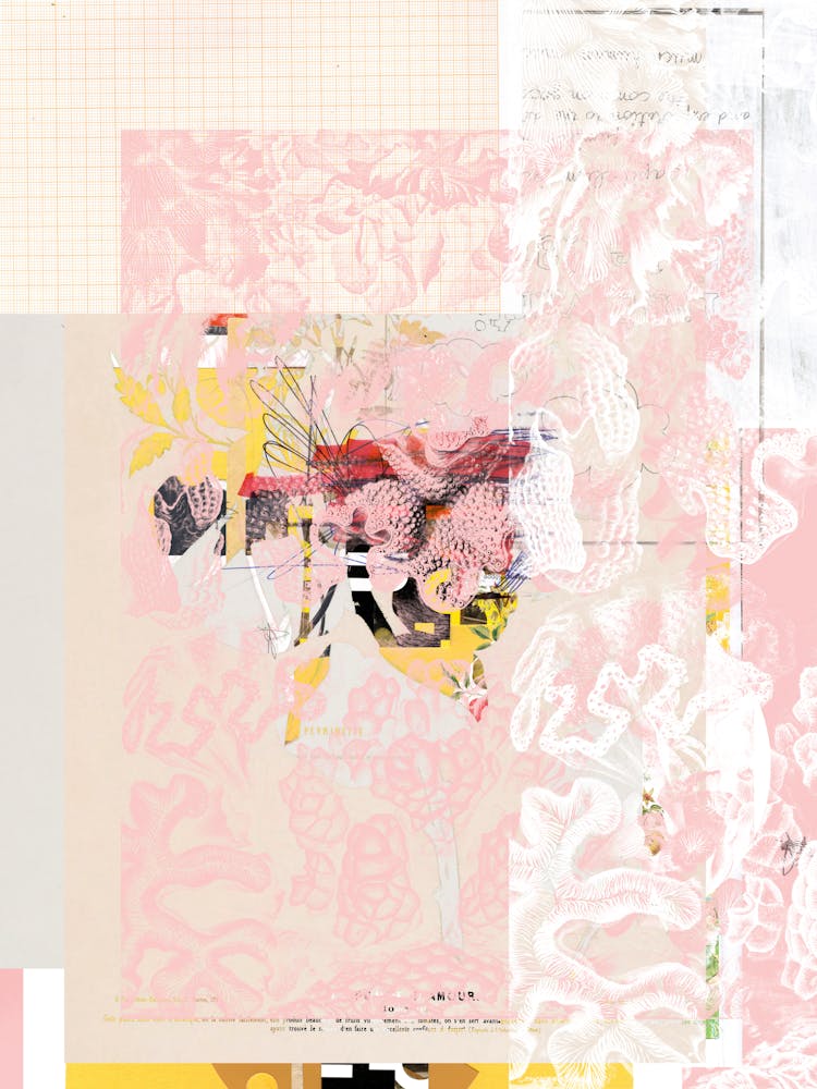 Daydream Verschlungene Pfade