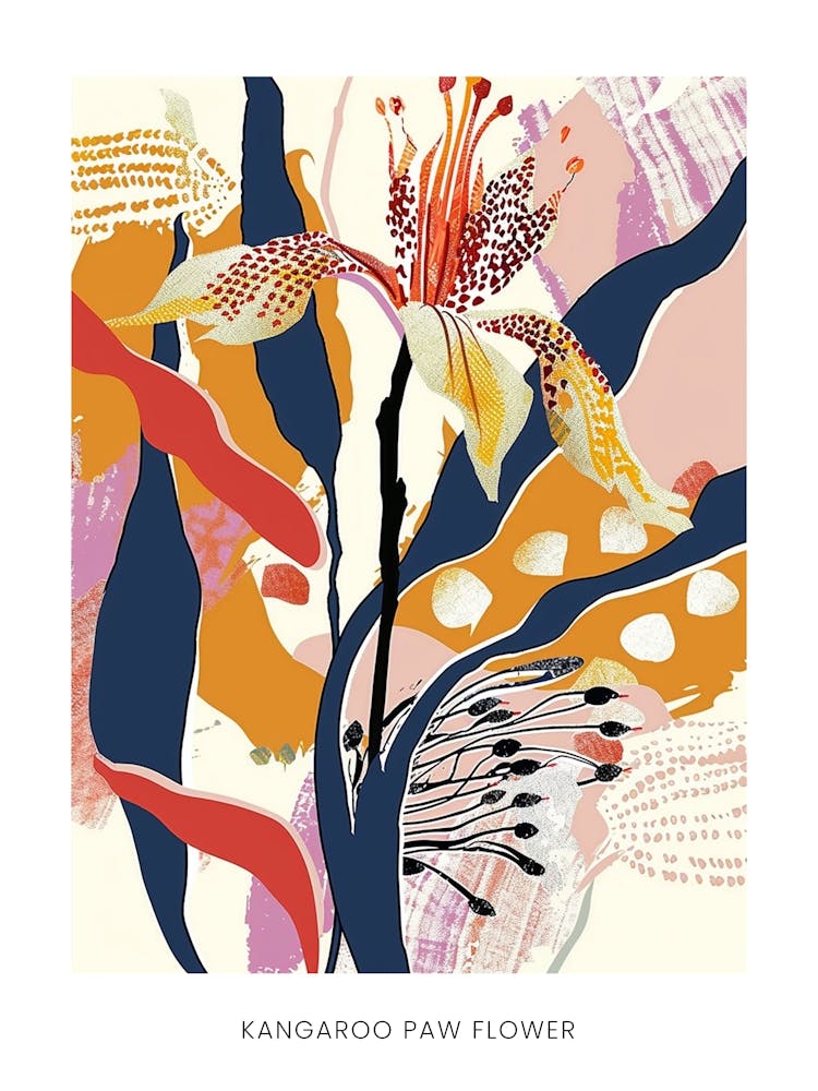 Colourful Flower Illustration Poster Kangaroo Paw Flower 3