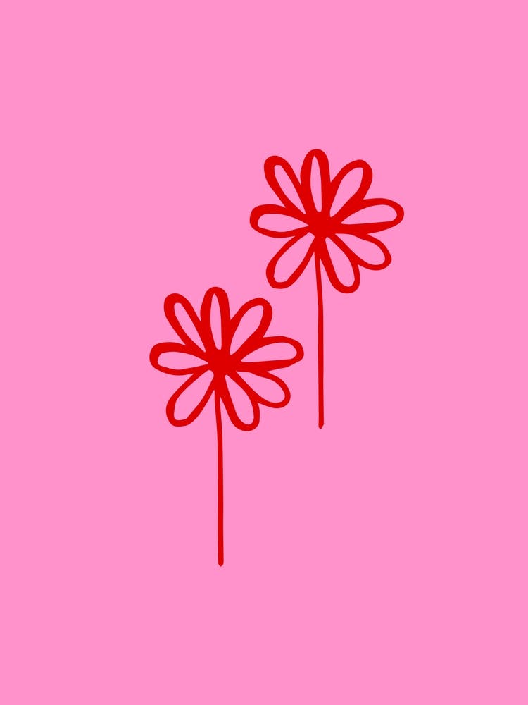 Two Daisies On Pink Background