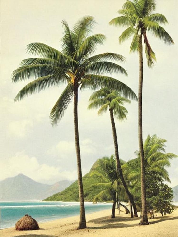 Anse Chastanet Beach St Lucia Vintage