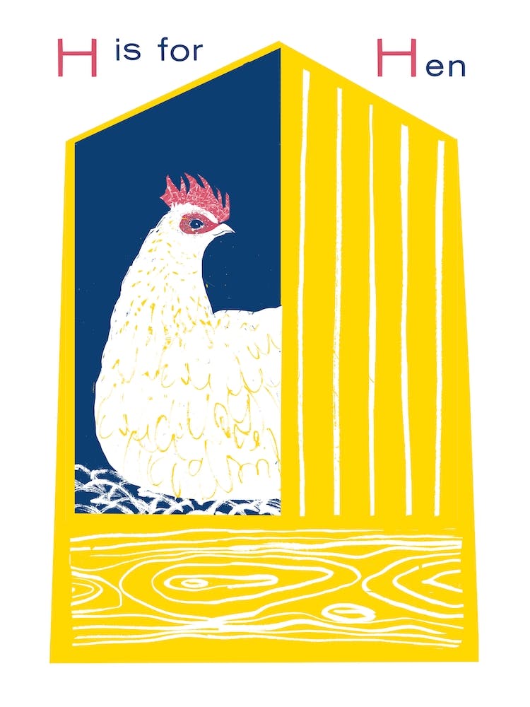 H Is For Hen