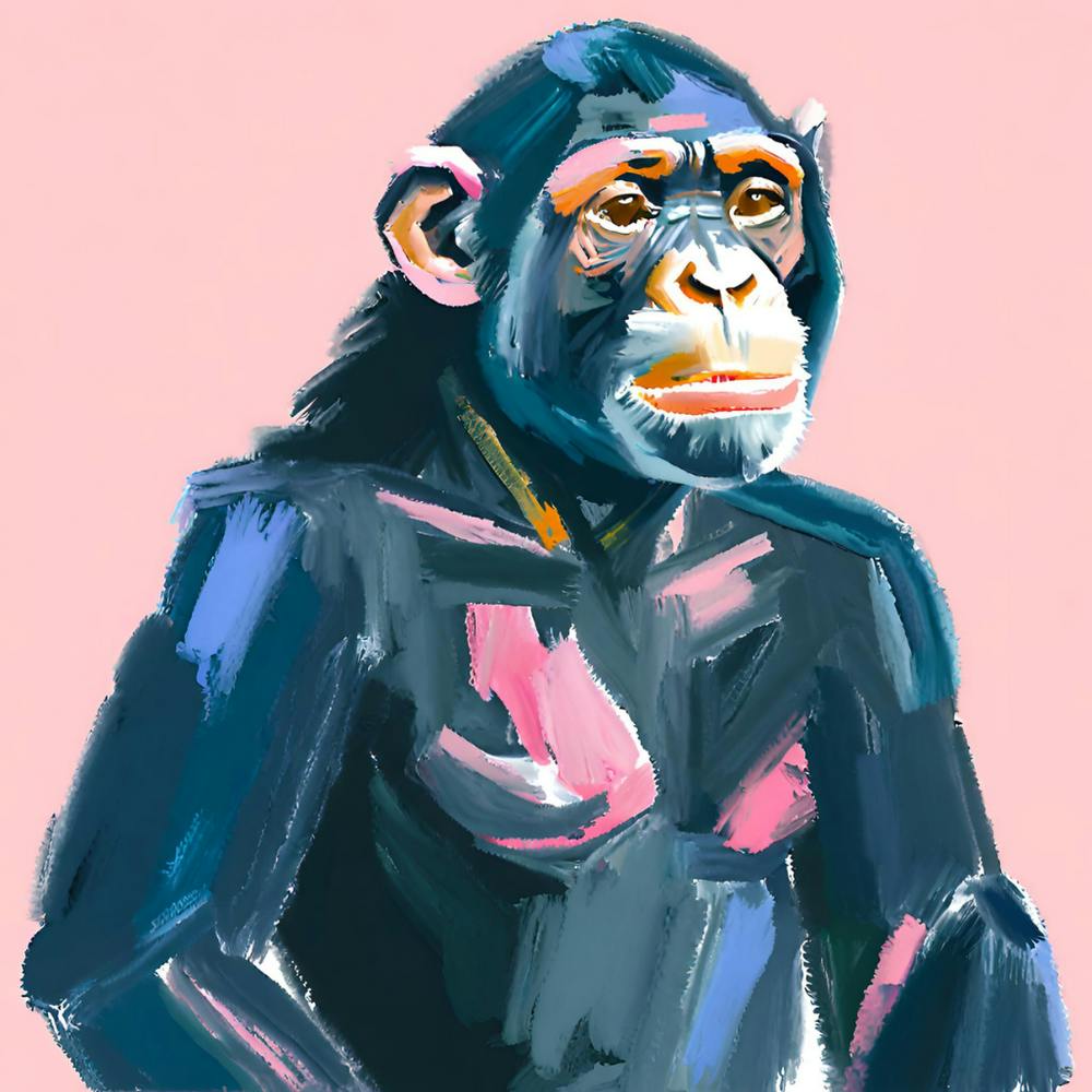 Chimpanzee 04