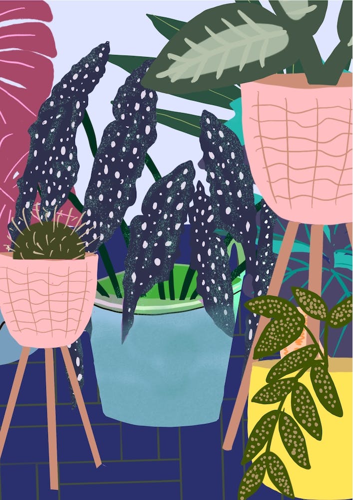 Botanical Pink Plant Pots