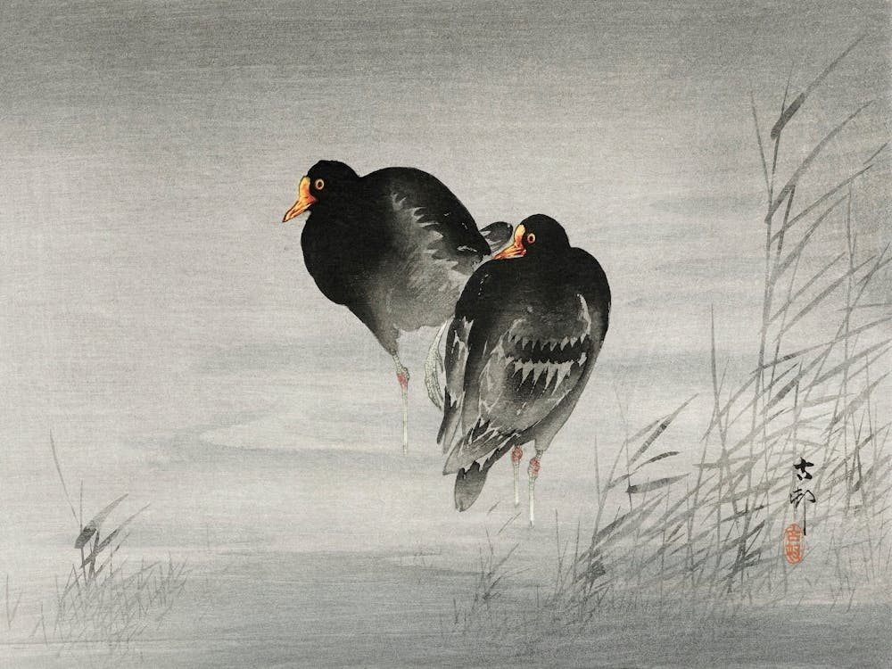 Two Moorhens (1900 1930), Ohara Koson