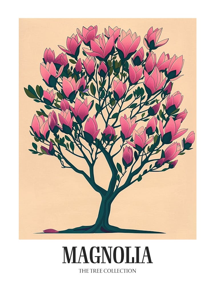 Magnolia Tree Colourful Illustration 4 Poster