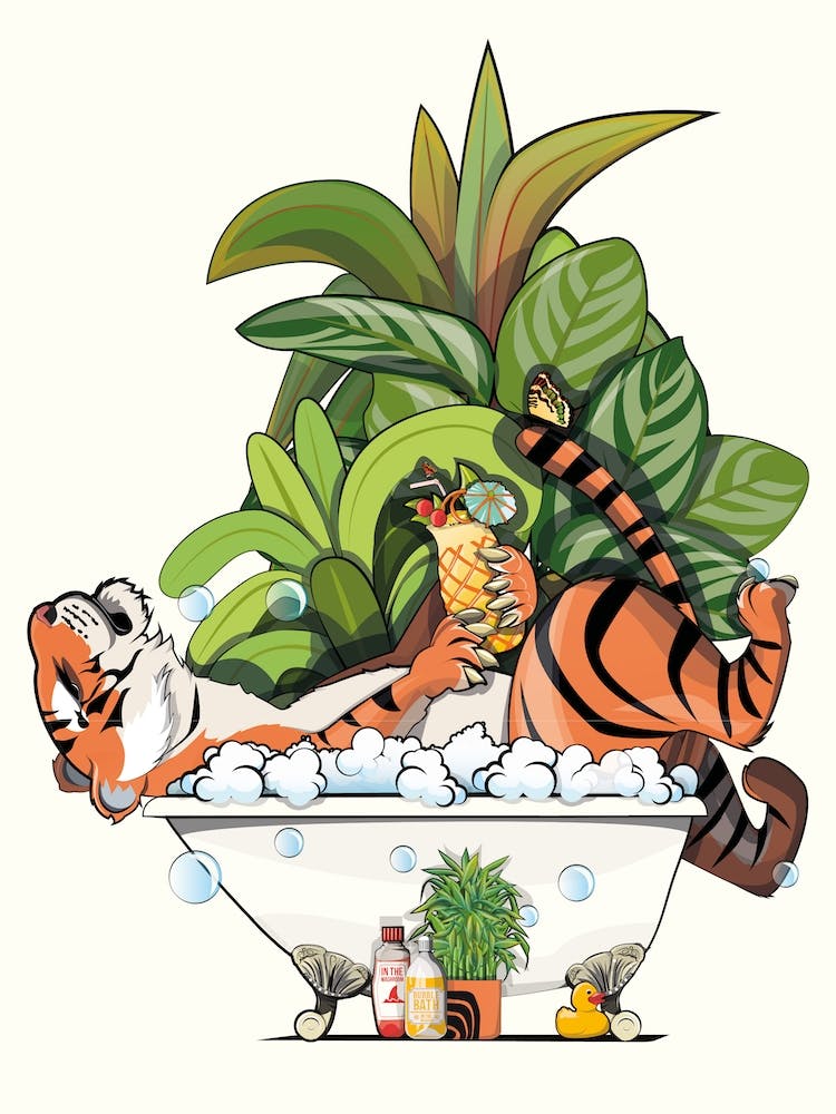 Tiger Sleeping In The Bath