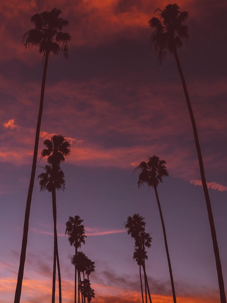 LA Sunset III