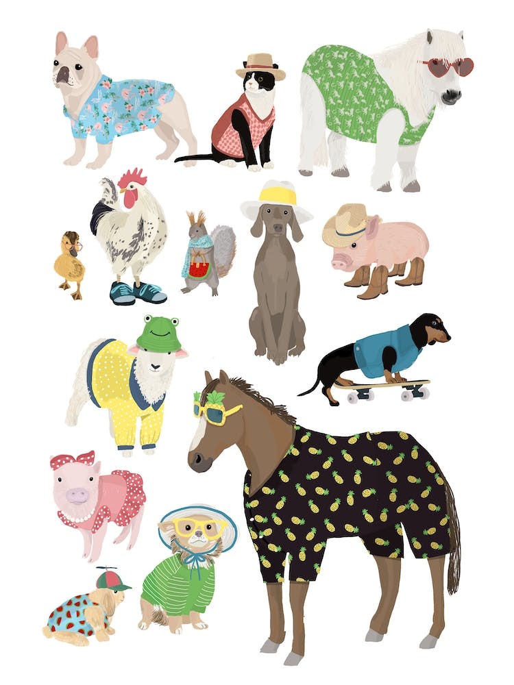 Summer Holiday Animals