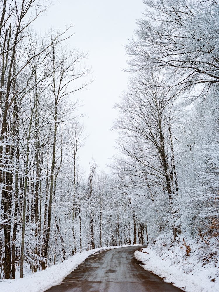 Upstate New York Snow II on Film