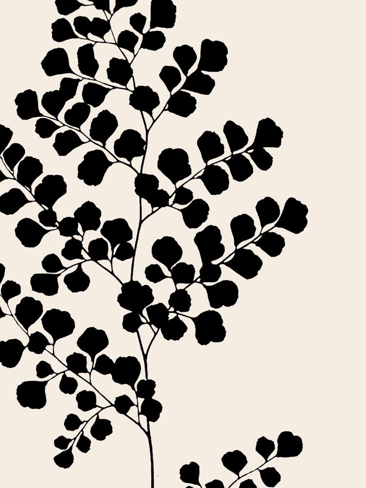 Fern Leaves in Black, Farmhouse Botanical 5